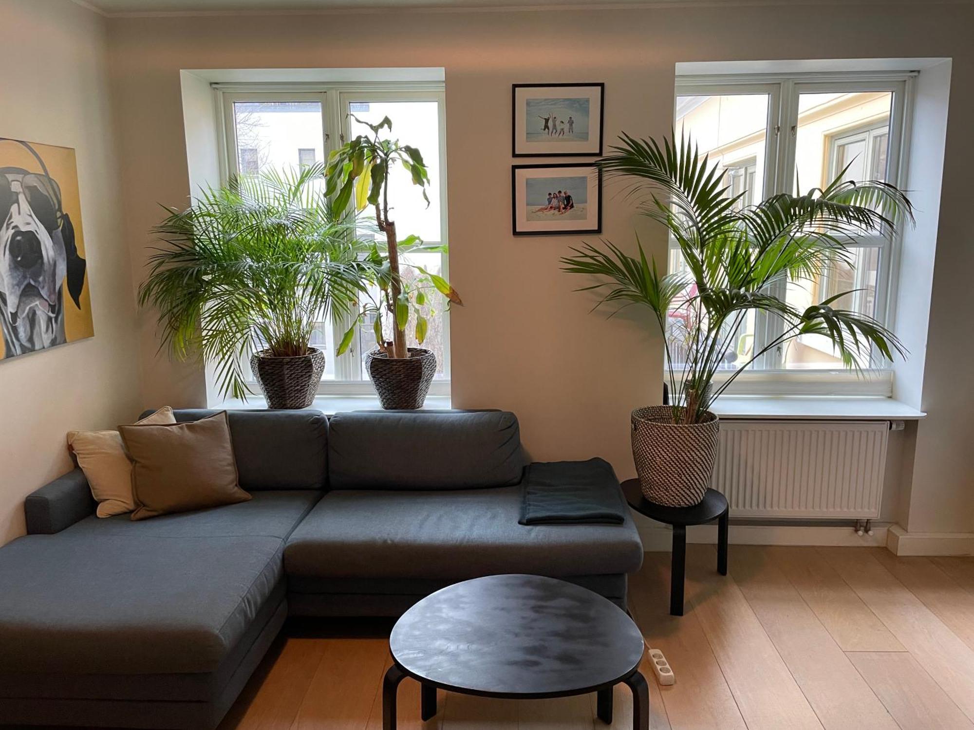 Appartement Stroken Loftleilighet Midt I Oslo. *