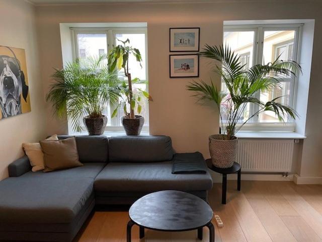 Appartement Stroken Loftleilighet Midt I Oslo. Oslo